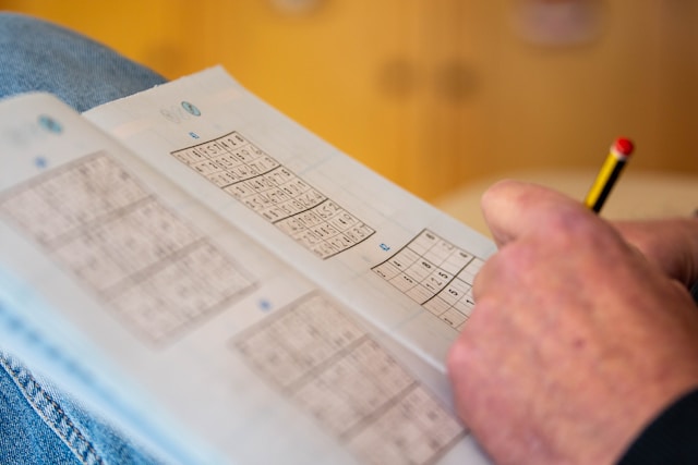 Sudoku number puzzle
